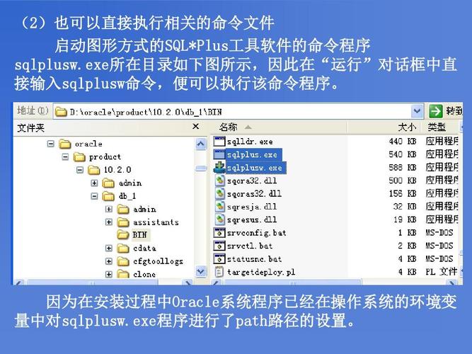 学sql能干什么（sql学到什么程度可以工作）