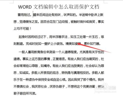 怎么删除写保护,word文件保护怎么解除