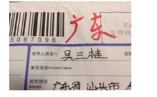 真正免费取名字网站(起名社免费起名)